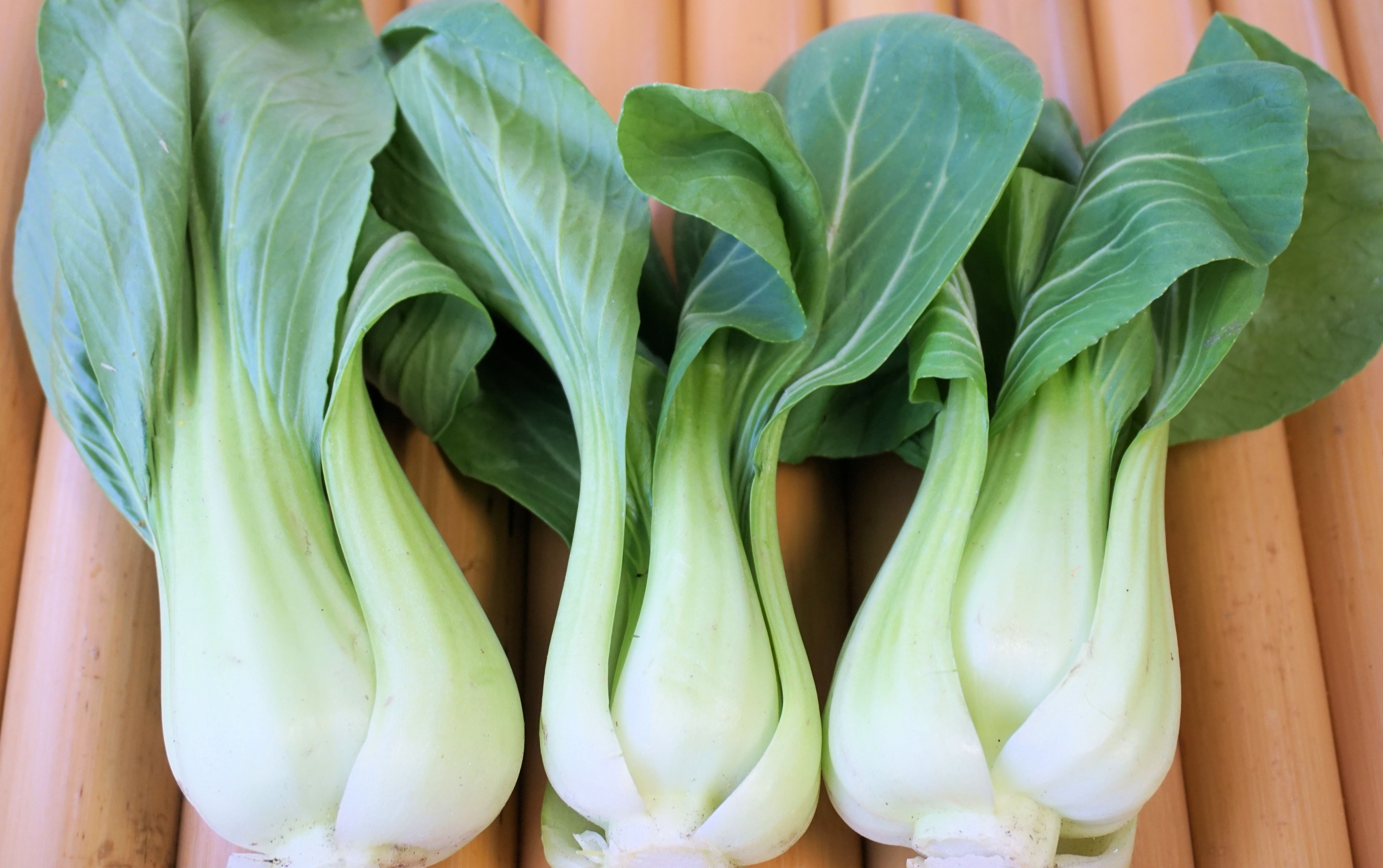 healthy vegetable - bok choy